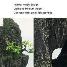 Load image into Gallery viewer, TBD0603544503_B2.jpg@bdabe1cd16437fab561c6c758b2e3225