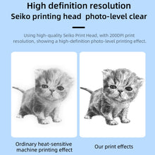 Load image into Gallery viewer, TBD06036569_B10.jpg@cb464afe0867475a37046f3f9a540757