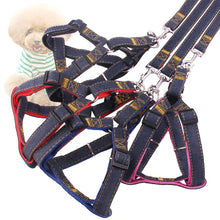 Load image into Gallery viewer, TBD06036614_B1.jpg@c8c4b076ecaaf38fcbc1d84c02d54bdc