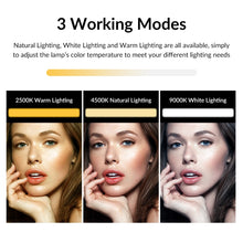 Load image into Gallery viewer, TBD06036915_3.jpg@be4019e4053c2b165bc1a833c9d0464a