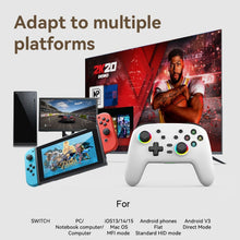 Load image into Gallery viewer, TBD06037169_B4.jpg@f74a6a4243f2858cbc218ea869ef7fc7