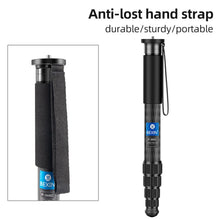 Load image into Gallery viewer, TBD06037247_B3.jpg@9b28cbfa68fb6c9b77dd830481e0d436