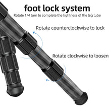 Load image into Gallery viewer, TBD06037247_B6.jpg@ddf20a0126b17d94ceffc6e3c7f7c6e9