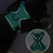 Load image into Gallery viewer, TBD06037462_B5.jpg@101ac6403f179961e4b9d47d1f87f06d