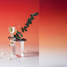 Load image into Gallery viewer, TBD0603915601D.jpg@5cd4a1fedc01731587f874d16f2a41c2