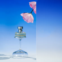 Load image into Gallery viewer, TBD0603915601H.jpg@c5590c0a4e70a8dd43b6e95b3f4abe6a