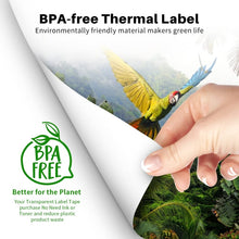 Load image into Gallery viewer, TBD06039172_B3.jpg@ecff49dfdaced8d3589bb147f8f5c4a2