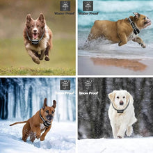 Load image into Gallery viewer, TBD06039188_B8.jpg@3ddc77655b0d0a5cd6265f13ad3bb3ef