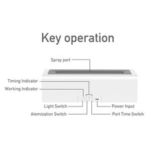 Load image into Gallery viewer, TBD06039518_B7.jpg@98c6e4f500dc6cb98fe850654527497d