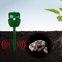 Load image into Gallery viewer, TBD06039522_B2.jpg@a2f56614ad0709954ccd08238d7ccdc7