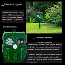 Load image into Gallery viewer, TBD06039522_B5.jpg@5147c5d45a11b97e86b3539be7f9afc6