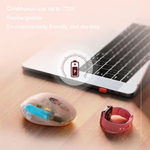 Load image into Gallery viewer, TBD06039544_B5.jpg@87287efa369a7b0d338a87c0e6c869b0