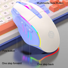 Load image into Gallery viewer, TBD06039983_B13.jpg@2c26d21b766465335c50d133028b461c