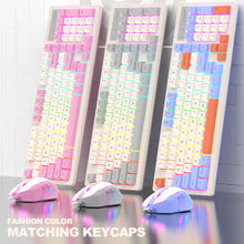 Load image into Gallery viewer, TBD06039983_B2.jpg@fa6718039f1fad9545ad8baa665408b4