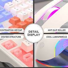 Load image into Gallery viewer, TBD06039983_B5.jpg@5e1e5ee2afe83c715566df78eab175cc