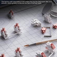 Load image into Gallery viewer, TBD06040127_B6.jpg@01da800527ef56724c42e03e28bd76e9