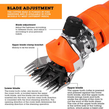 Load image into Gallery viewer, TBD06040289_B4.jpg@6343d913a3bada59dab5bbb7b6cfe005