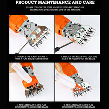 Load image into Gallery viewer, TBD06040289_B5.jpg@2c19be100762152f5ca708b8fdb533c5