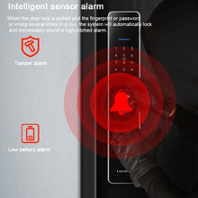 Load image into Gallery viewer, TBD06040341_B7.jpg@db475ef4d1a83f7b1e0b2bcb51be8837