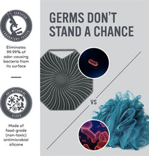 Load image into Gallery viewer, TBD06040458_B2.jpg@e6e2a754fe0bfc2fc87630e14f16a783