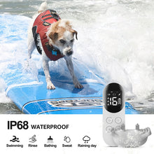 Load image into Gallery viewer, TBD06040528_B7.jpg@0f0b14b0b8f23650bc04fb55f47b8f74