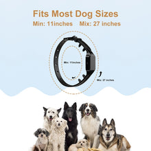 Load image into Gallery viewer, TBD06040569_B2.jpg@3f4214a6e0c277dc31b5c6e97dd92a4a