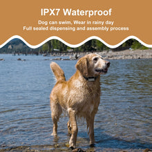 Load image into Gallery viewer, TBD06040569_B6.jpg@dc02068004190b117c410791bbc7ebd1