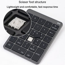 Load image into Gallery viewer, TBD06040686_B3.jpg@50a2e88a0743ca2eff5752475b34f42a