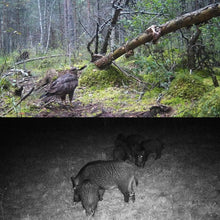 Load image into Gallery viewer, TBD06040720_B8.jpg@09be49e85100eff6e11f403a48243e3e