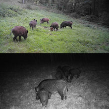 Load image into Gallery viewer, TBD06040748_B8.jpg@c1063babcfbf90f973e5a75ae3a377fe