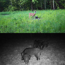 Load image into Gallery viewer, TBD06040838_B8.jpg@7854efd5204b88403f313229ae148b54