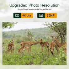Load image into Gallery viewer, TBD06040847_B9.jpg@2ba33d506f82395ec6e97231a621054d