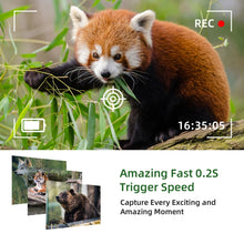 Load image into Gallery viewer, TBD06040850_B3.jpg@e57d88f576777570701a26d489391d76