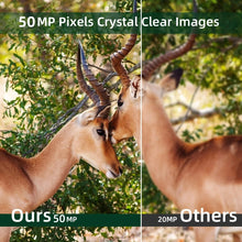 Load image into Gallery viewer, TBD06040925_B10.jpg@12dab0154242d26891ae8b58fa5e79a5