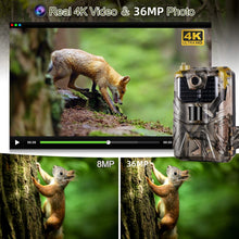 Load image into Gallery viewer, TBD06040934_B3.jpg@1ebe7c20e0c7b343459c74f7cf10f28a