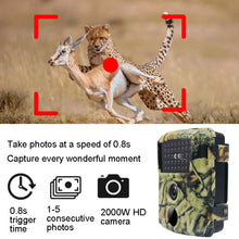 Load image into Gallery viewer, TBD06041045_7.jpg@363c7b07d0da777ca3f988d2431ffc37