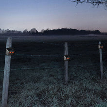 Load image into Gallery viewer, TBD06041168_6.jpg@891ec8cae2cc44b4a28591fe4b79c690