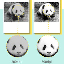 Load image into Gallery viewer, TBD06041275_B6.jpg@65d6dc1dbf22f324237e490d013664cd