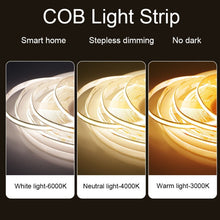 Load image into Gallery viewer, TBD06041368_B4.jpg@b35254659fcc5be95a393b5db816204e