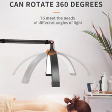 Load image into Gallery viewer, TBD06041479_B7.jpg@db042bacc05e5f835cafcb0568ae4872