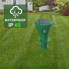 Load image into Gallery viewer, TBD06041586_B3.jpg@c2ebf64d0d2d2e3cdbaa66398c61941d