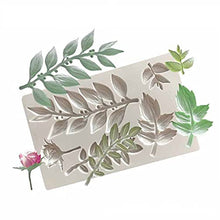 Load image into Gallery viewer, TBD06041859_B1.jpg@3f55eca5d0b3be57ea782a9136d77bcc