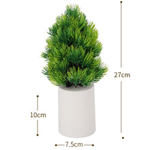 Load image into Gallery viewer, TBD06042452_B1.jpg@b58ad0fc9f3d3c2304d8cfff8d145281