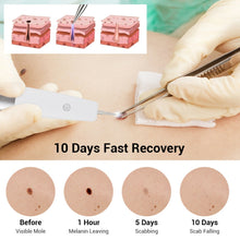 Load image into Gallery viewer, TBD06042583_B7.jpg@b0eb239add712a8769689432339fb1e3