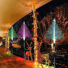 Load image into Gallery viewer, TBD06042663_B7.jpg@4d1df1d72137a307d881eeb2dfbbf6ea