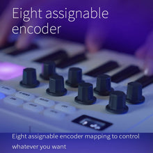 Load image into Gallery viewer, TBD06042834_B8.jpg@d1233a7b3f33654d246251516213f2c8