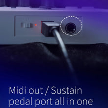 Load image into Gallery viewer, TBD06042834_B9.jpg@f0e183479960428cb1ea4d731c618b73