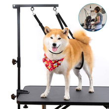 Load image into Gallery viewer, TBD06043055_B1.jpg@38c1c337b3b1d9f2557f346dc77ef183