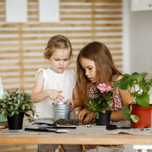 Load image into Gallery viewer, TBD06043060_B2.jpg@f773442adfede92bd4f14420550cd240