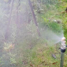 Load image into Gallery viewer, TBD06043191_B2.jpg@e90edc7c363305b2d96df6aacaa0ed1b